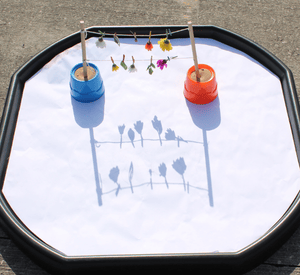 shadow drawing activity with natural objects casting patterns on paper