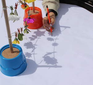 children tracing shadows outdoors on a sunny day