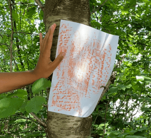 outdoor exploration with paper and chalk on tree bark surfaces