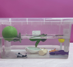 sink or float water investigation with tub and natural objects