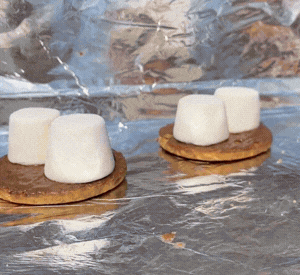 preschool children observing solar oven heating marshmallows outdoors