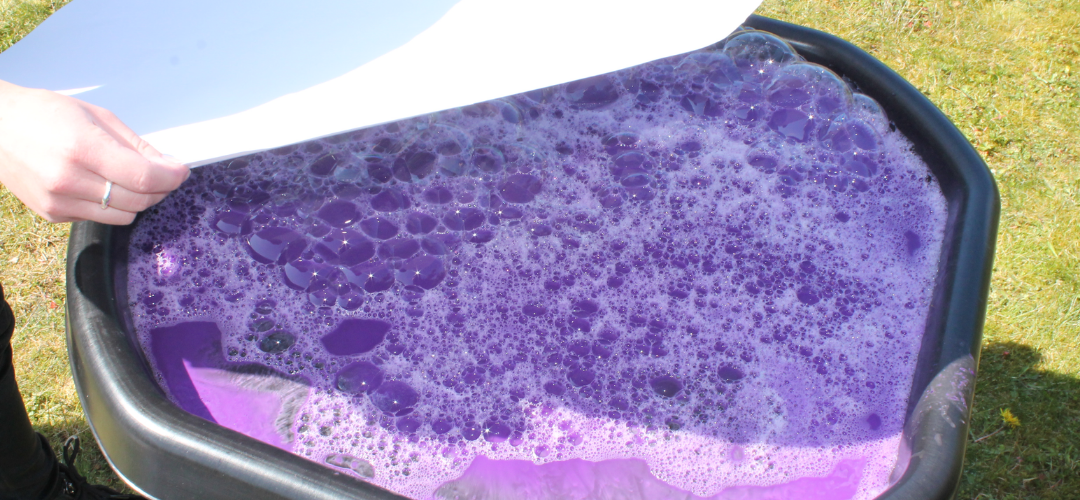 Image shows a tuff tray filled with purple water and bubbles and someone placing a large sheet of white paper on top 