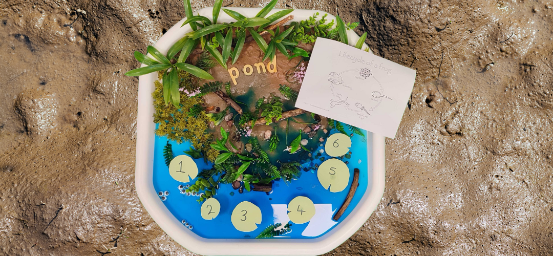 Overhead shot of a tuff tray set up. Included is plastic greenery, sand, water and mini lily pads