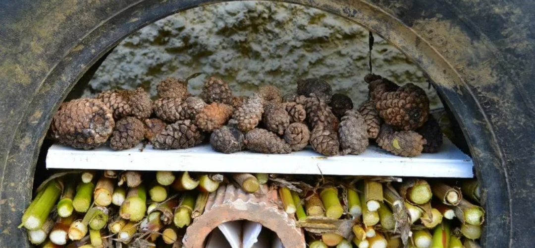 Large tyre with layers of natural materials, bamboo and pine cones are visible