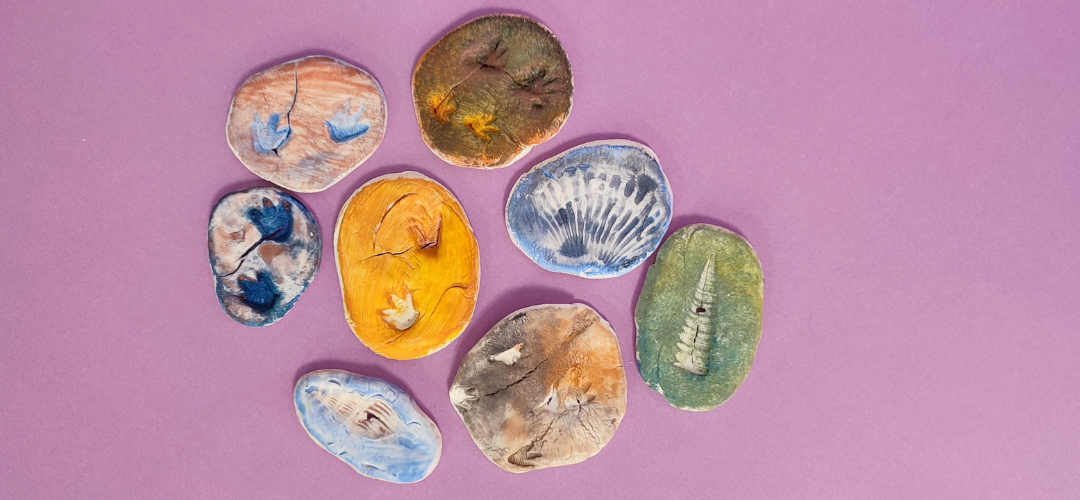 air dry clay fossils