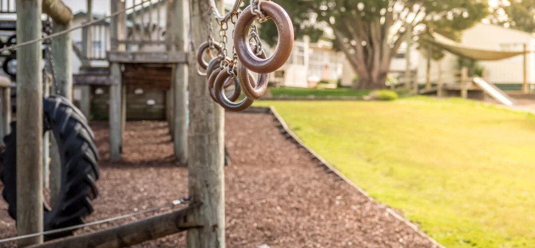 outdoor playground monkey bars