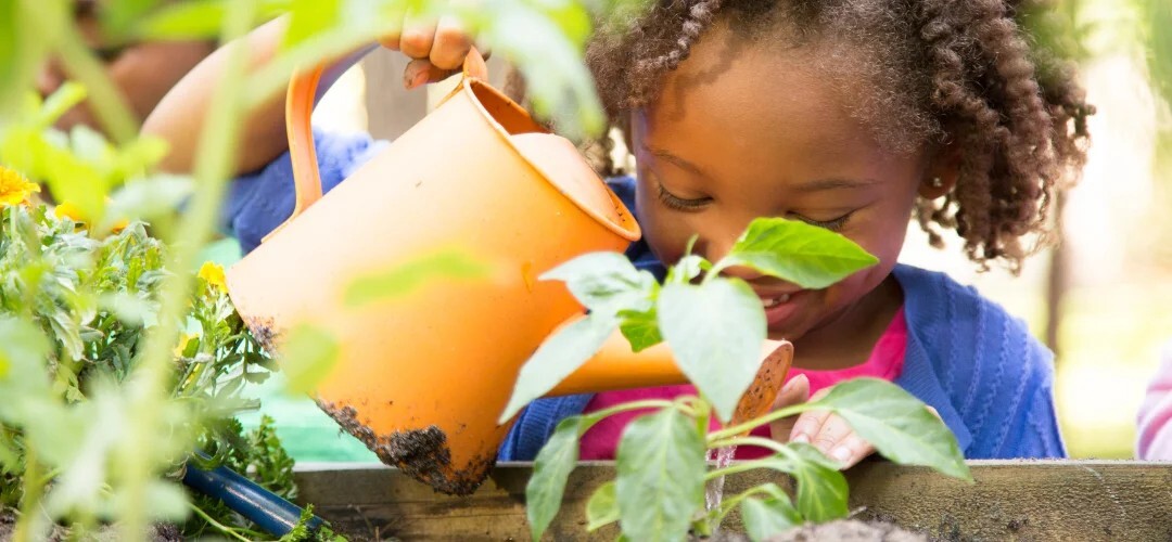 child watering plants with yellow flowering pot