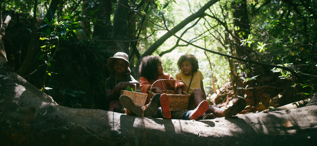children sitting in the outdoors