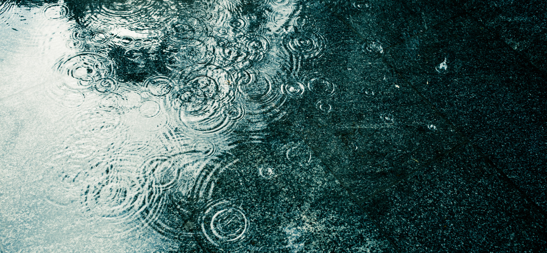 raindrops falling into a puddle