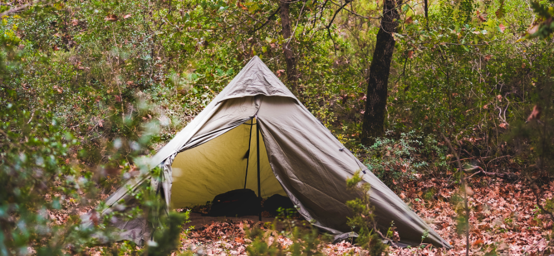 tent in the forest