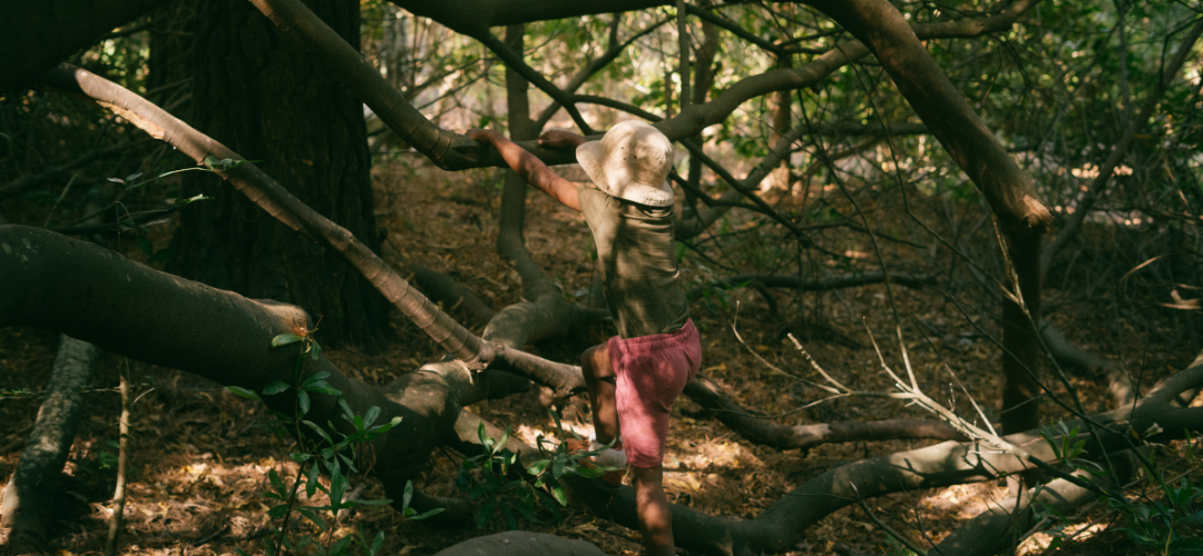 child playing in forest school