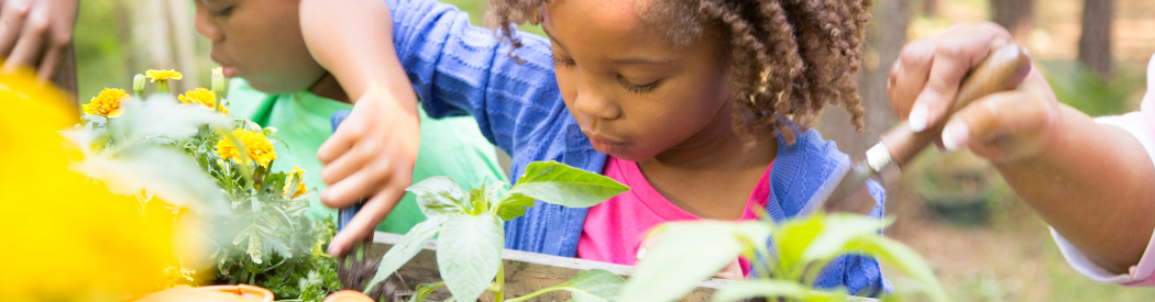 Special interest and hobby clubs