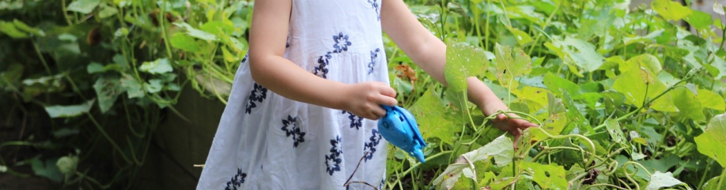 child watering the plants in a garden