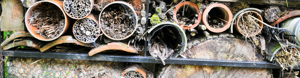 bug hotel made from dry wood