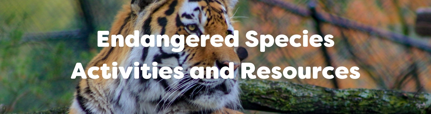 endangered species activities and resources
