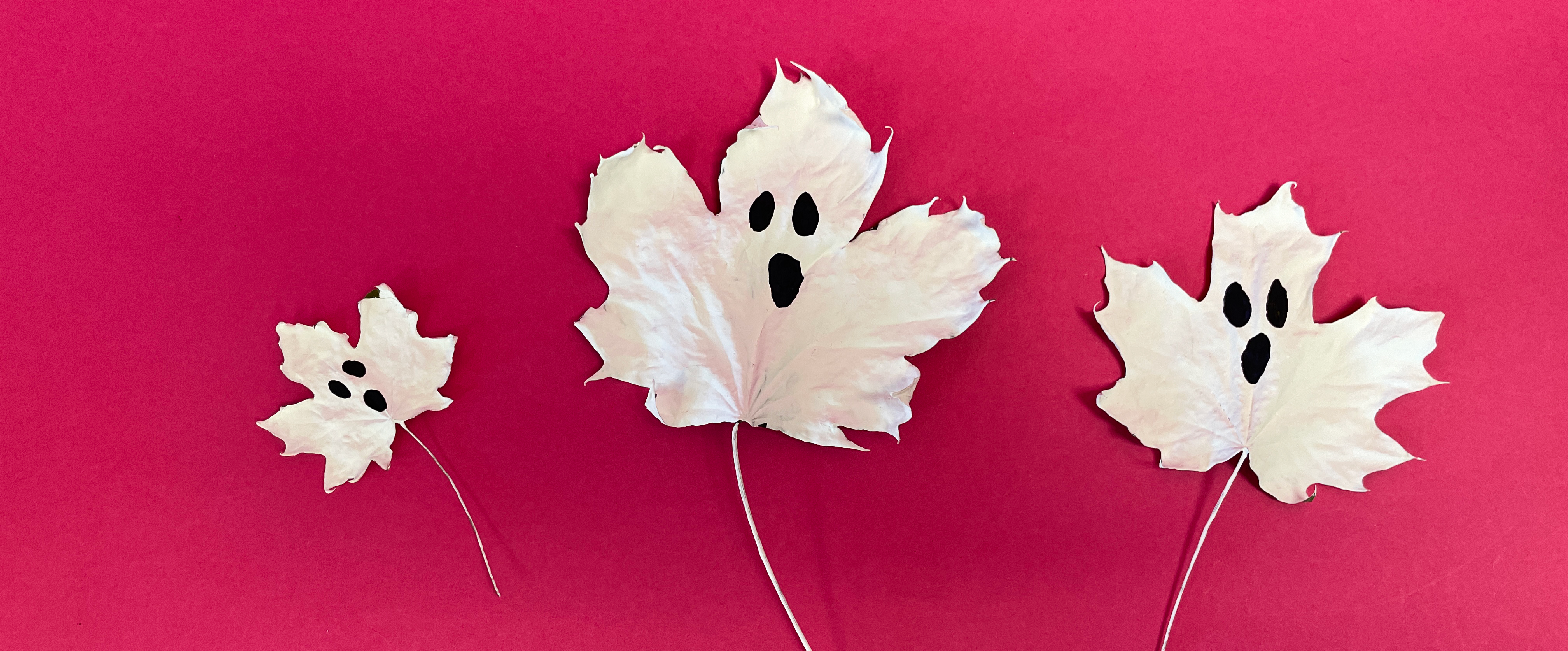 Three white maple leaves are painted white with black eyes.