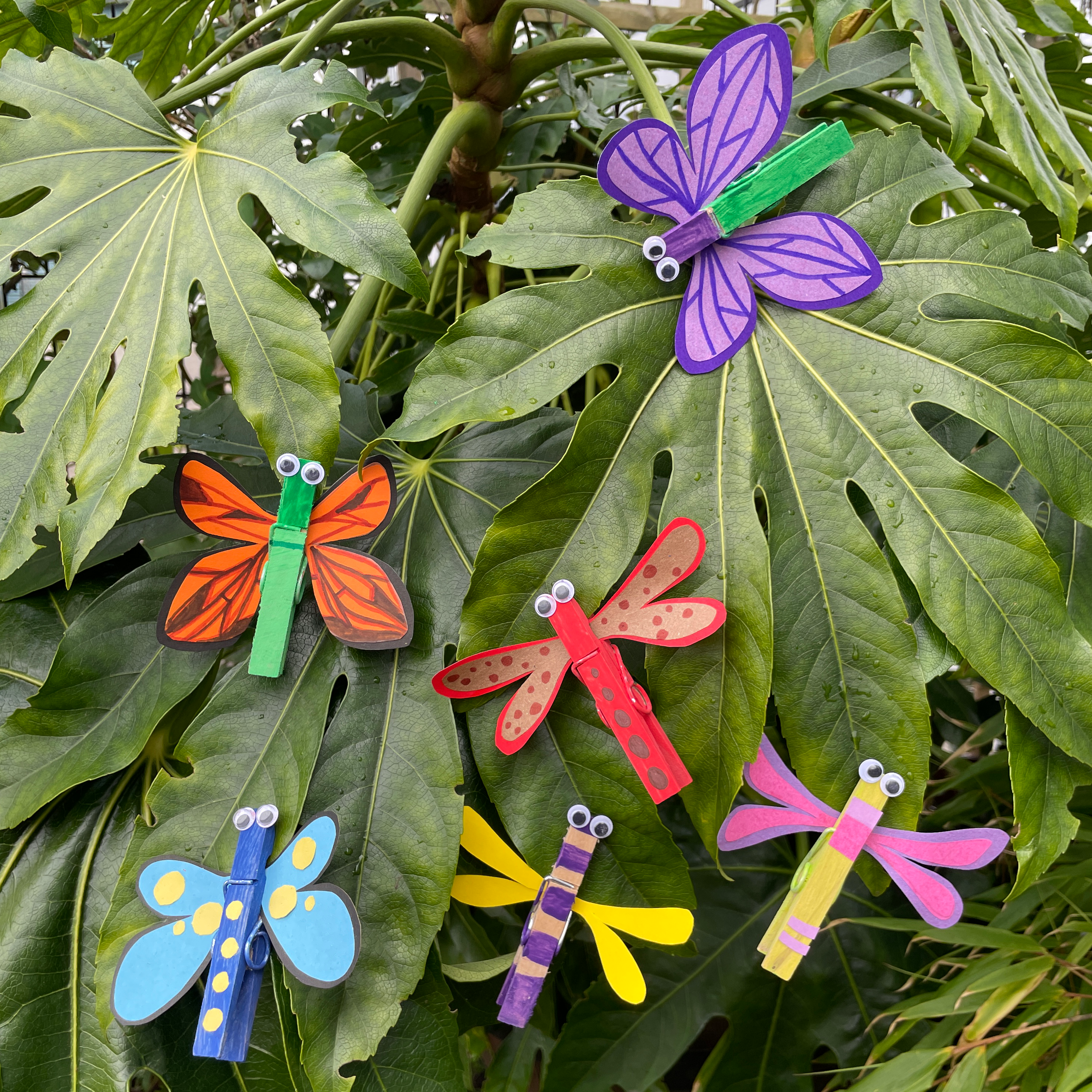 Peg Dragonflies