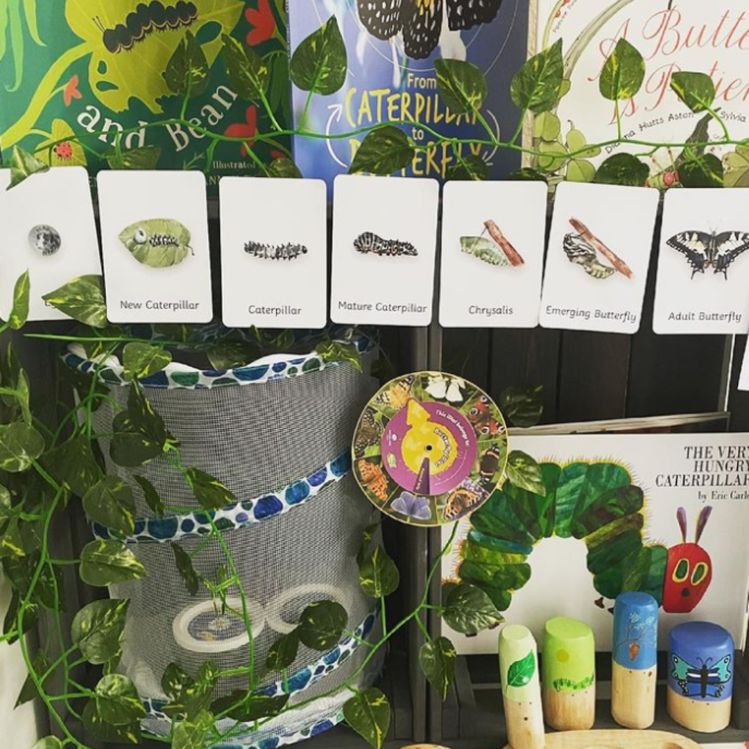 the hungry caterpillar storyboard display