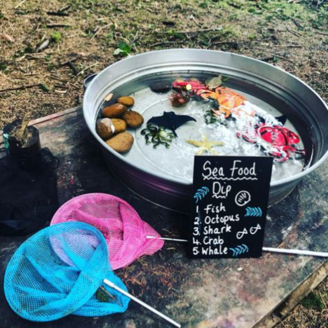 bucket filled with water and assorted things to fish out with nets